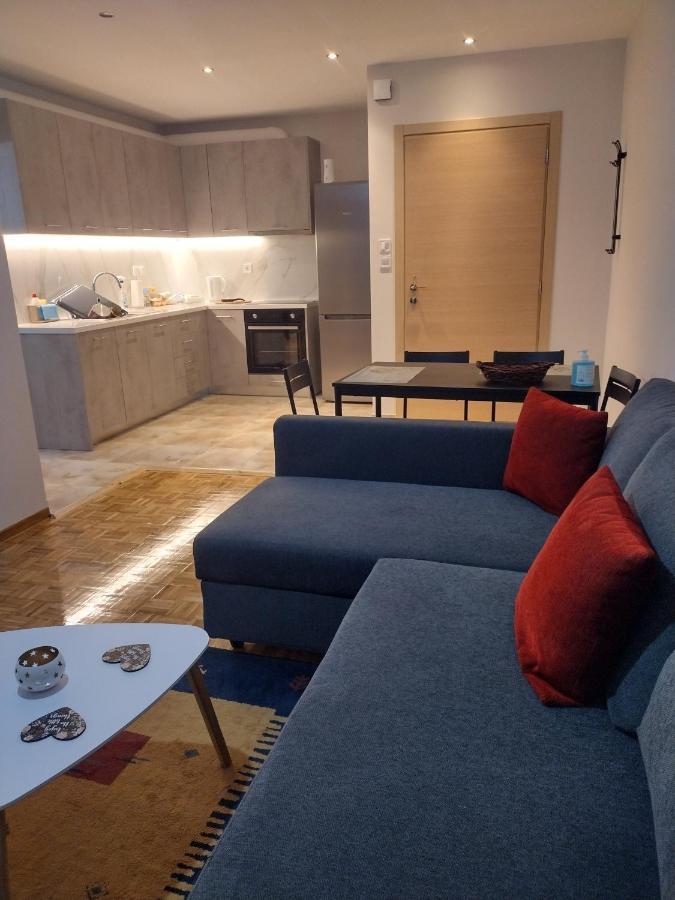 Lydia'S City View Apartment อิโออันนินา ภายนอก รูปภาพ